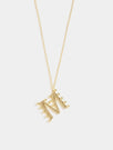 Skinnydip London | 'M' Alphabet Necklace - Product Image